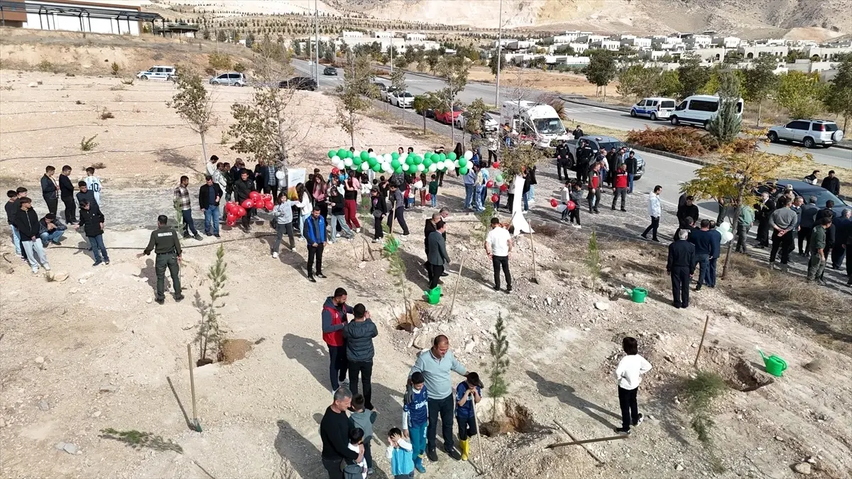 Hasankeyf’te Fidan Dikim Etkinliği