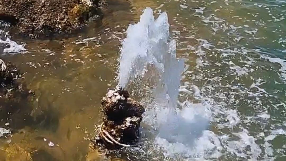 Van Gölü’nde çekilme sonrası ortaya çıkan mikrobiyalitler şaşırtıyor